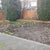 west coast seeds Chafer Beetle Resistant Lawn Blend before