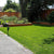 west coast seeds Chafer Beetle Resistant Lawn Blend