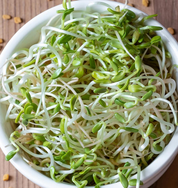 Micro Fenugreek Organic