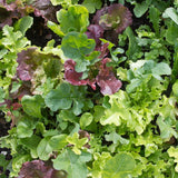 West Coast Market Mix