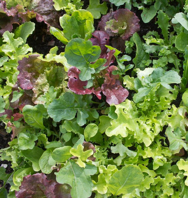 West Coast Market Mix
