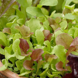 West Coast Market Mix