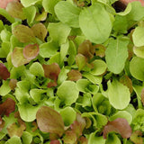 West Coast Market Mix