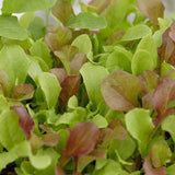 West Coast Market Mix