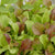 West Coast Market Mix