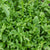 Bellezia Organic