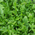 Bellezia Organic