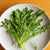 Bellezia Organic Arugula Seeds