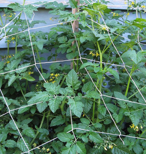 Nylon Trellis ZHG508-1