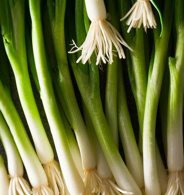 Parade Organic
