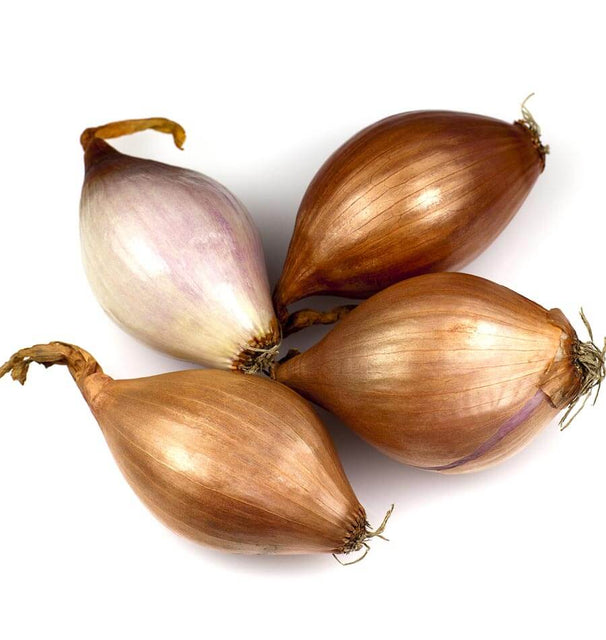 French Gourmet Shallot Sets ON583-1