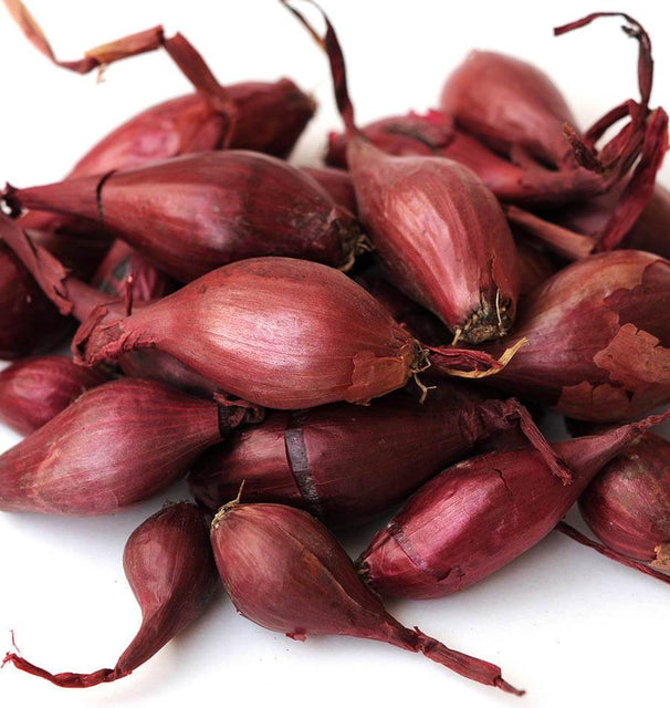 T & T Red Carpet Onion Seeds - Magenta Rings, Rich Flavor