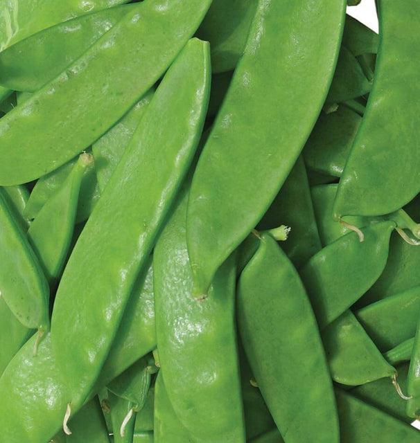 Oregon Sugar Pod 2
