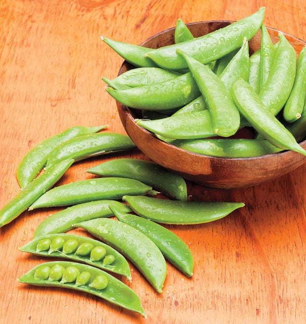 Heirloom Sugar Snap Daddy Pea Seeds - 100+ Non-GMO Seeds, Easy To Grow, Edible
