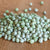 Alaska pea seeds