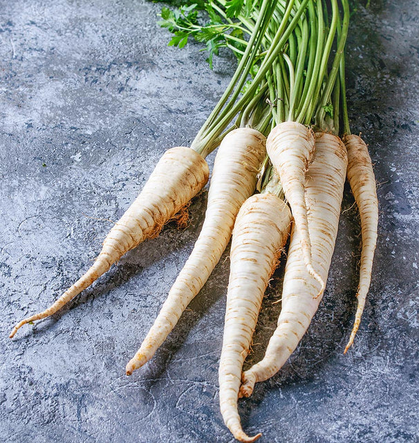 Tender and True Parsnip Seeds