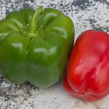 California Wonder Sweet Pepper Seeds PP620 1