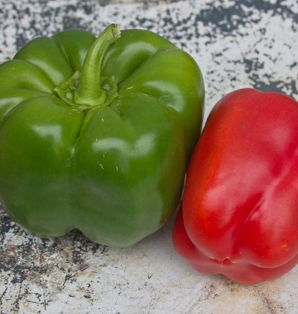 California Wonder Sweet Pepper Seeds PP620 1