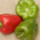 California Wonder Sweet Pepper Seeds PP620 2