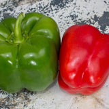 California Wonder Sweet Pepper Seeds PP620 1