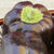 Chocolate Beauty