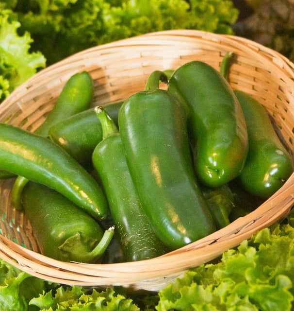 Jalapeno M