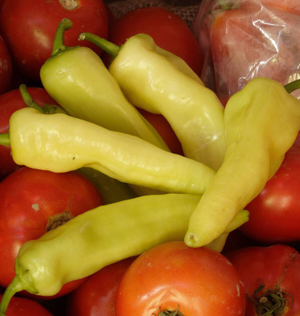 thumbnail interactive-video image 1 of 25 Hungarian Hot Wax Pepper Seeds – Fresh Harvest – Easy Grow – For Gardens 1 of 5
