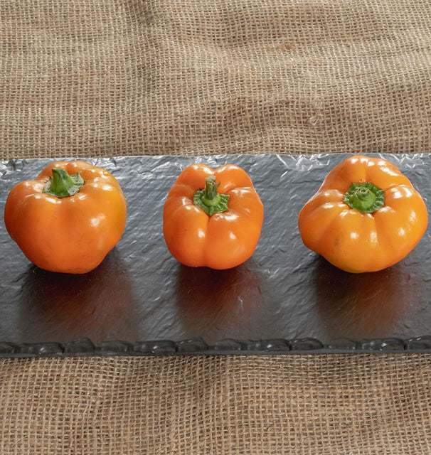 Orange You Sweet