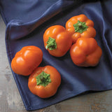 Orange You Sweet Pepper Seeds