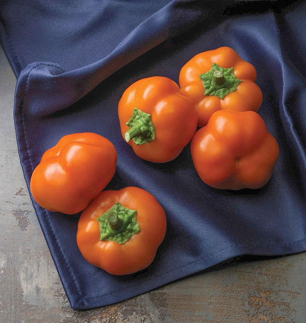 Orange You Sweet Pepper Seeds