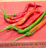 Witch Stick Pepper Seeds