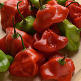 Mad Hatter Pepper Seeds