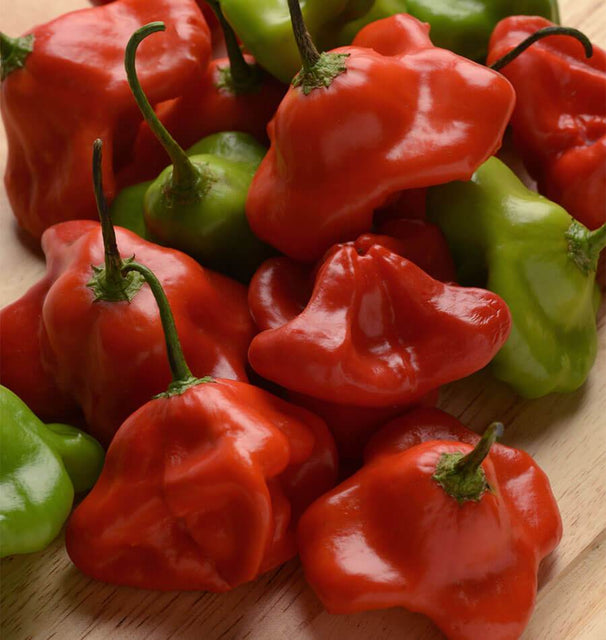 Mad Hatter Pepper Seeds