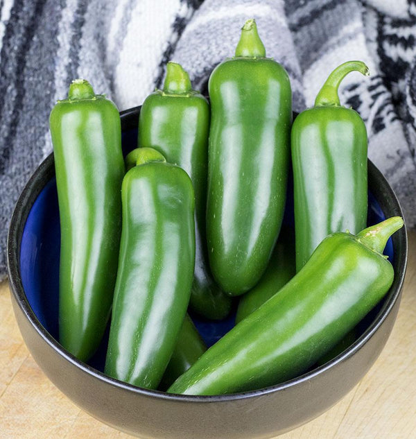 Spicy Slice Jalapeno Pepper Seeds