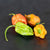 Trinidad Moruga Scorpion