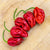 Trinidad Moruga Scorpion
