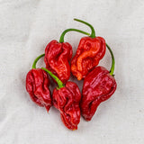 Trinidad Moruga Scorpion