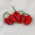 Trinidad Moruga Scorpion