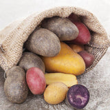 Organic Seed Potato Assortment