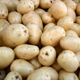 Kennebec Organic