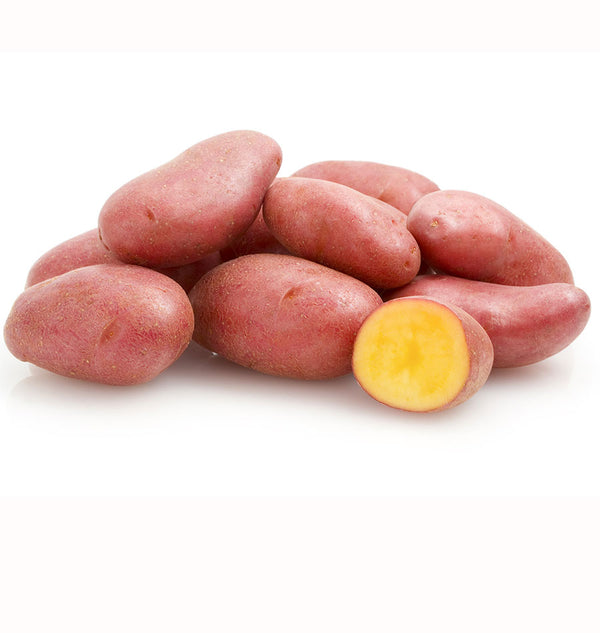 French Fingerling Organic