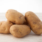 GemStar Organic Seed Potatoes