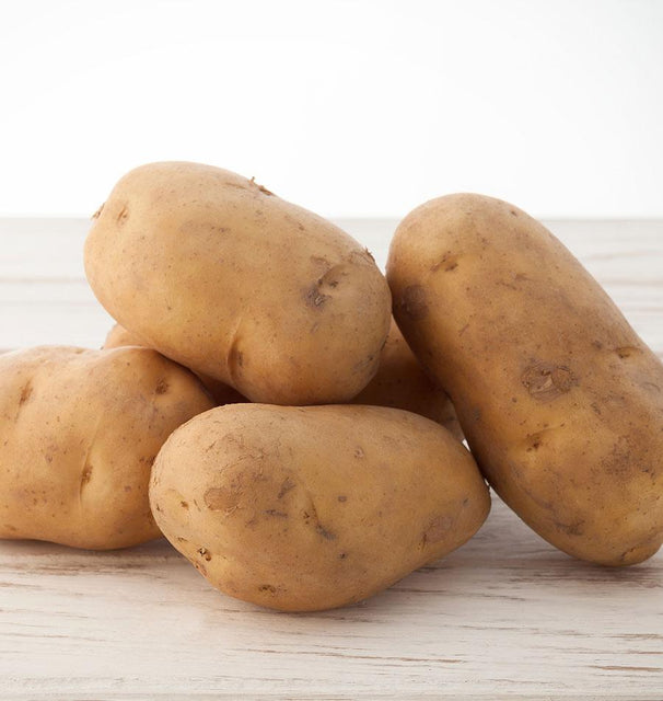 GemStar Organic Seed Potatoes
