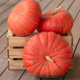 Rouge Vif d’Etampes