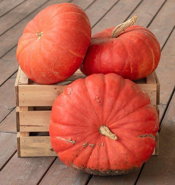 Rouge Vif d’Etampes