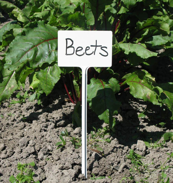 5 inch plastic plant labels Plant Marker Plastic T-Type (5/pk) – West Coast Seeds