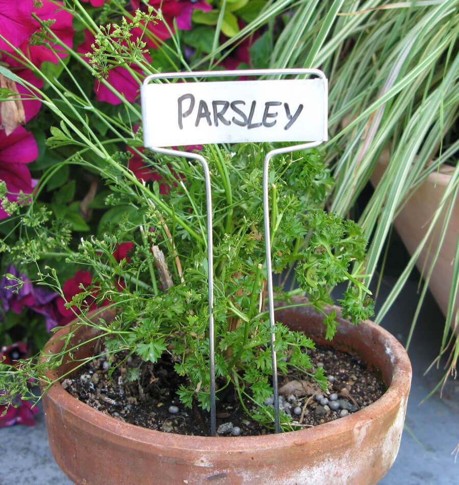 White Plant Markers Grower's Edge Plant Labels - 4