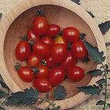 Principe Borghese Tomato Seeds TM806-1