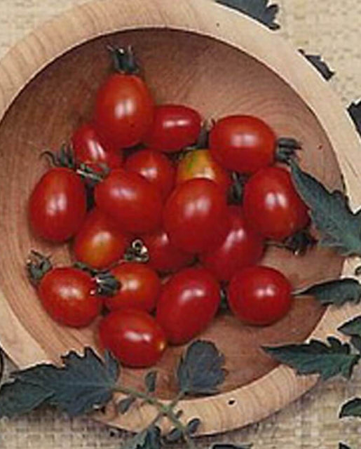 Principe Borghese Tomato Seeds TM806-1