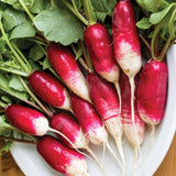 French Breakfast heirloom radish seeds
